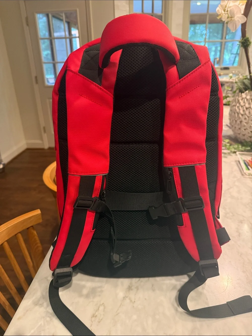 Zion Slab Case Pack Red Men's Backpack